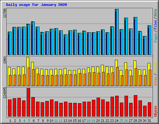 Daily usage for January 2020