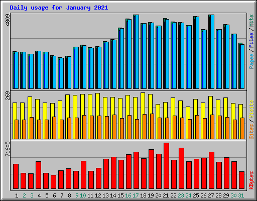 Daily usage for January 2021