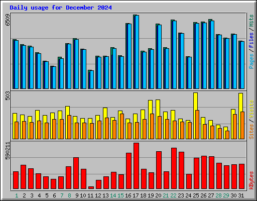 Daily usage for December 2024