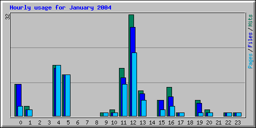 Hourly usage for January 2004