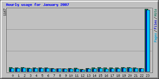 Hourly usage for January 2007