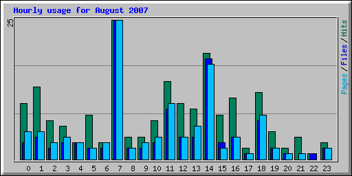 Hourly usage for August 2007