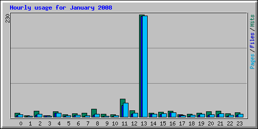 Hourly usage for January 2008