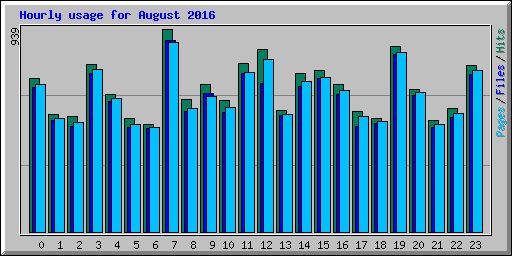 Hourly usage for August 2016