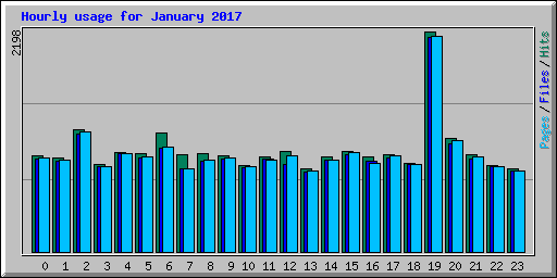 Hourly usage for January 2017