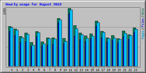 Hourly usage for August 2018