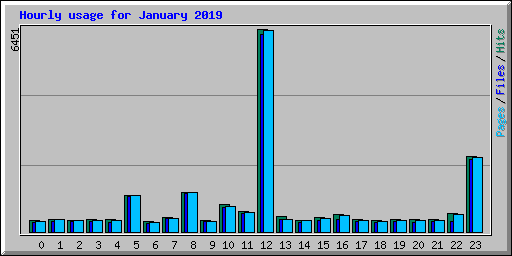 Hourly usage for January 2019