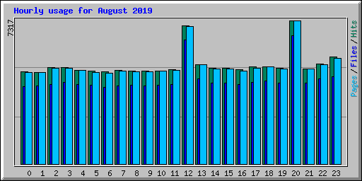 Hourly usage for August 2019