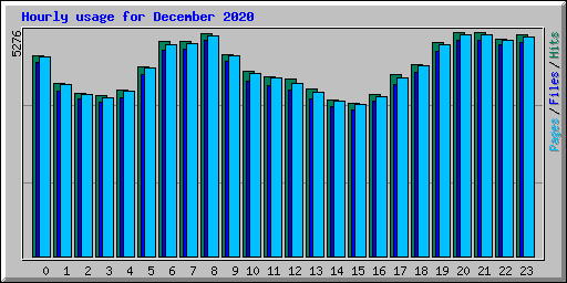 Hourly usage for December 2020