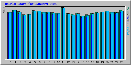 Hourly usage for January 2021