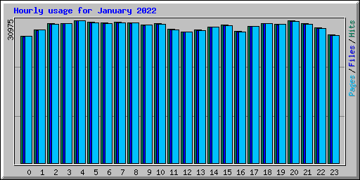Hourly usage for January 2022