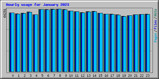 Hourly usage for January 2023