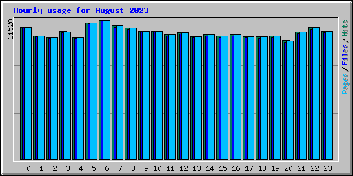 Hourly usage for August 2023