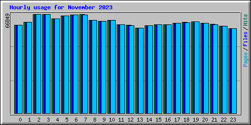 Hourly usage for November 2023