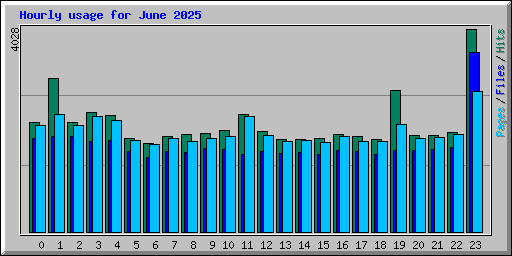 Hourly usage for June 2025